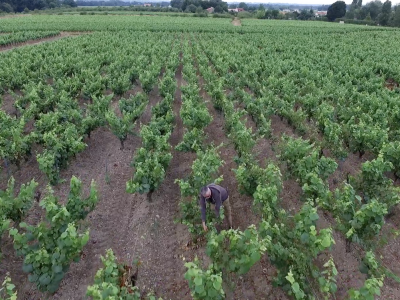 Capture d’écran 2016-09-02 à 11.24.48